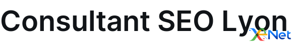 Consultant SEO Lyon
